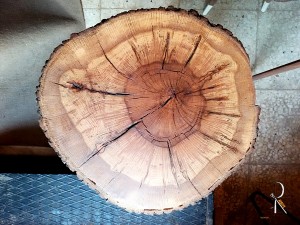 Meşe Kütük Sehpa - DAS36